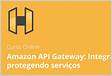 Curso sobre API Amazon API Gateway integrando e protegendo